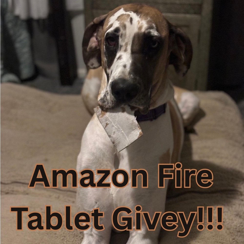 Amazon Fire Tablet - givey!